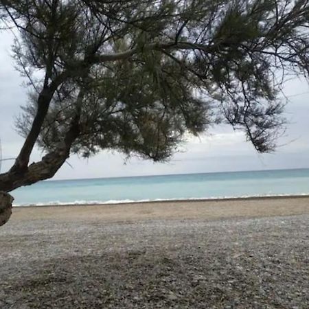 Casa Carmen Martinez 36 A Ξενοδοχείο Moncófar Εξωτερικό φωτογραφία