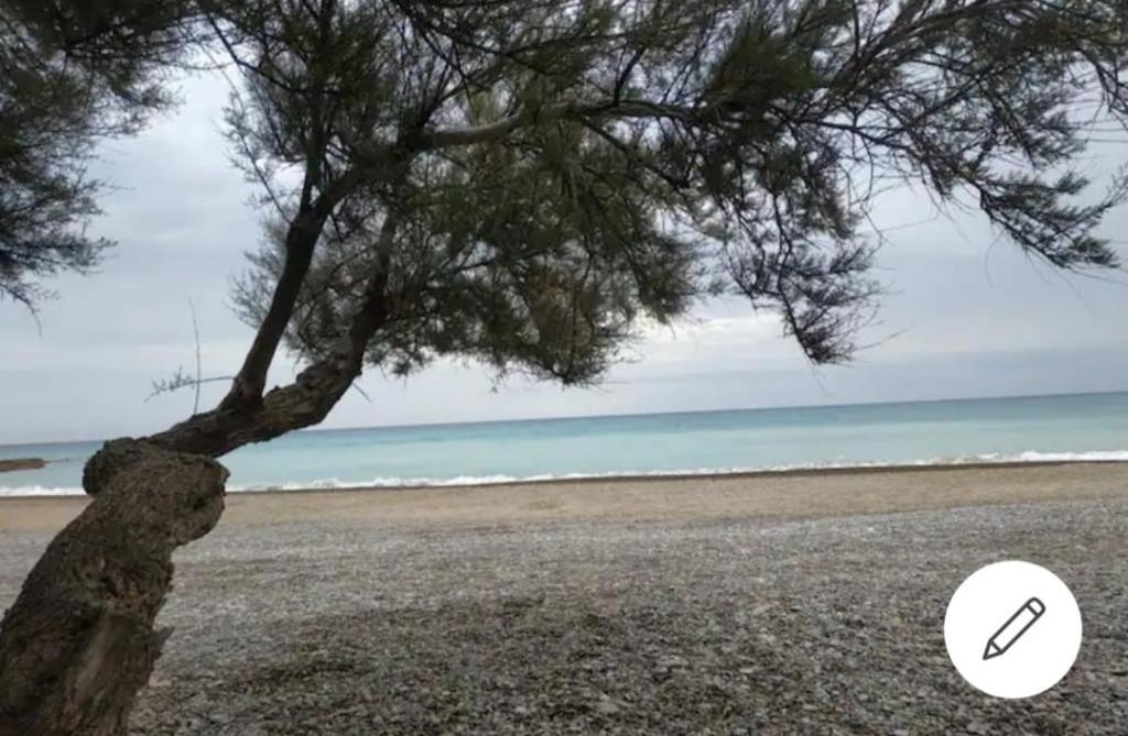 Casa Carmen Martinez 36 A Ξενοδοχείο Moncófar Εξωτερικό φωτογραφία
